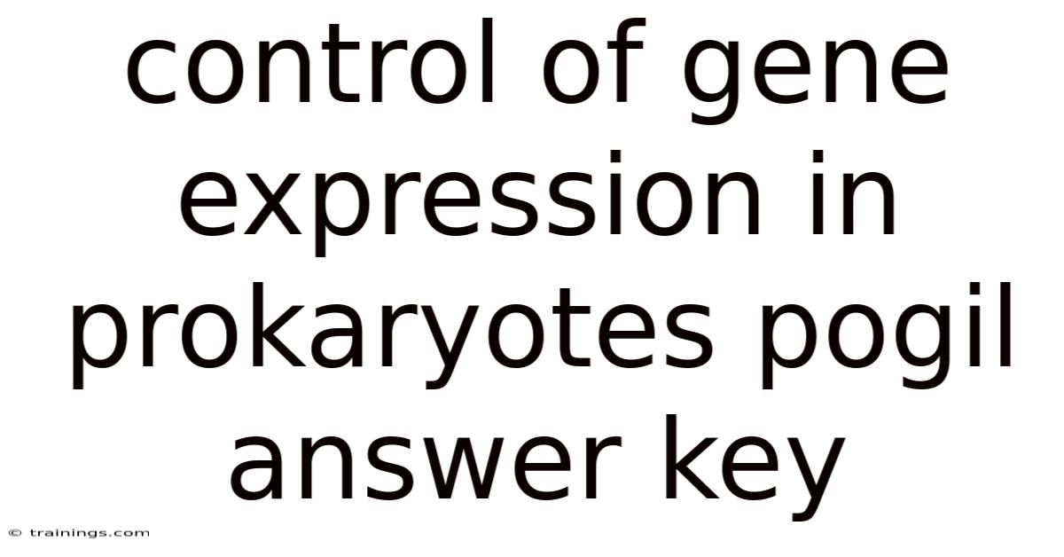 Control Of Gene Expression In Prokaryotes Pogil Answer Key